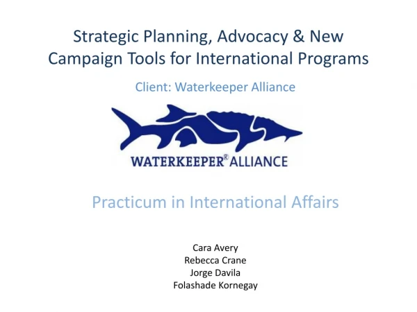 Strategic Planning, Advocacy &amp; New Campaign Tools for International Programs