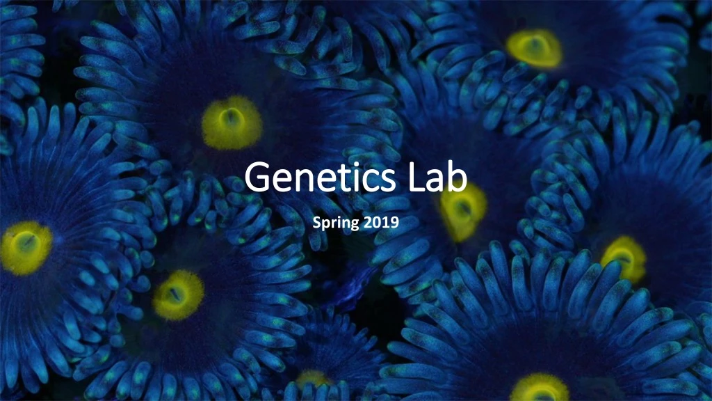 genetics lab