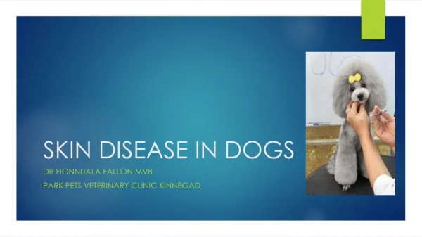 SKIN DISEASE IN DOGS