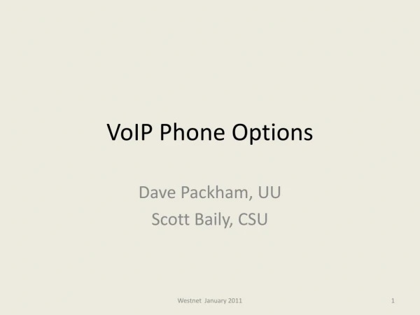 VoIP Phone Options