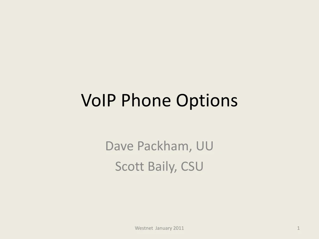 voip phone options