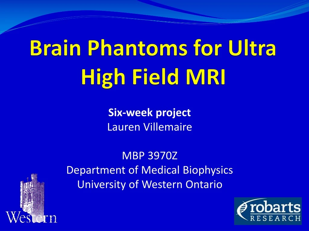 brain phantoms for ultra high field mri