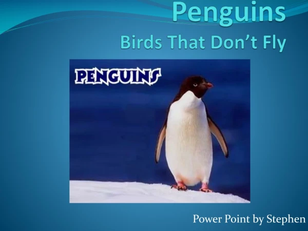 Penguins Birds T hat D on’t Fly