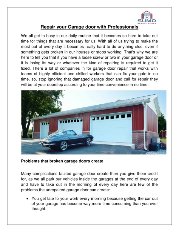 Repair your Garage door with Professionals