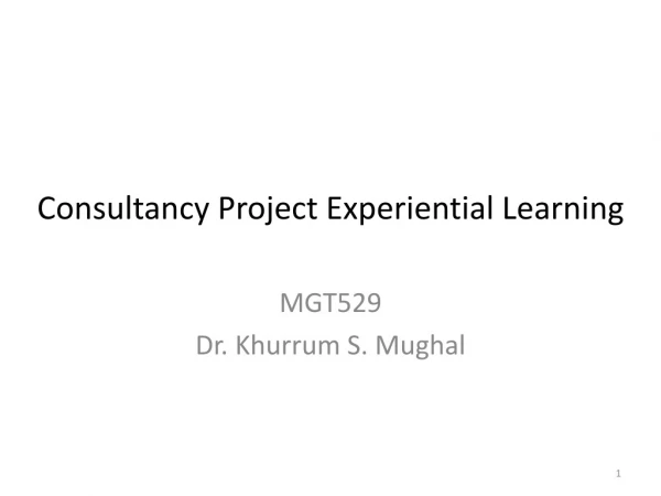 Consultancy Project Experiential Learning