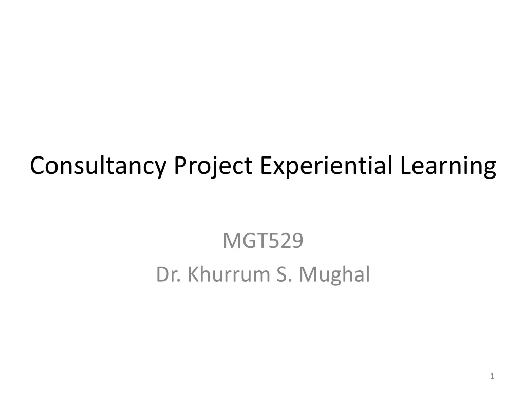 consultancy project experiential learning
