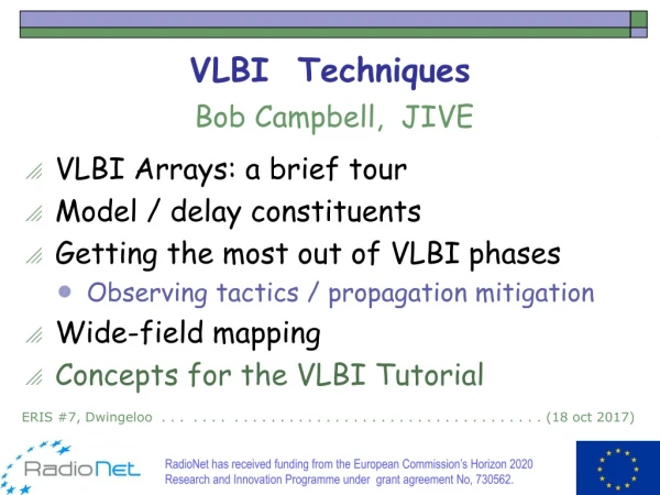 VLBI Techniques
