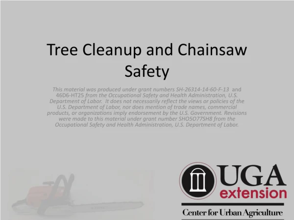 Tree Cleanup and Chainsaw Safety