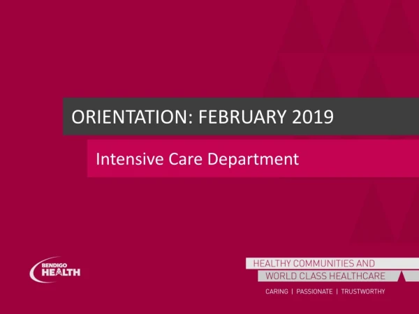 Orientation: February 2019