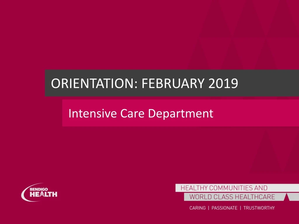 orientation february 2019