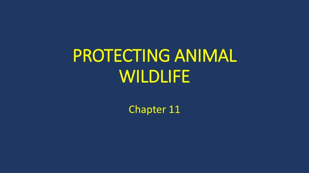 protecting animal wildlife