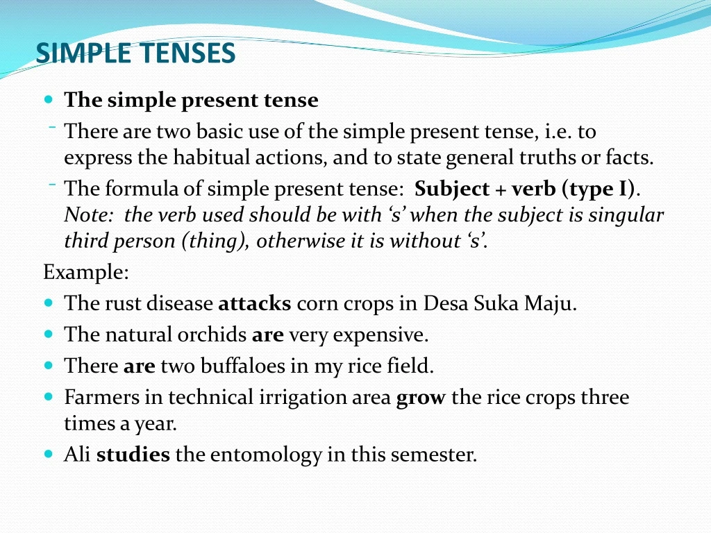 simple tenses