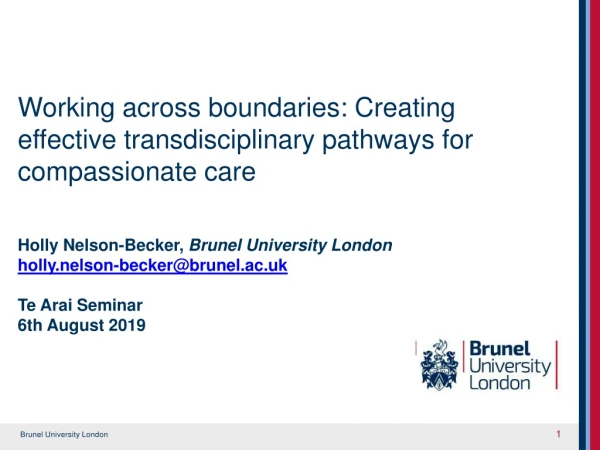 Working across boundaries: Creating effective transdisciplinary pathways for compassionate care