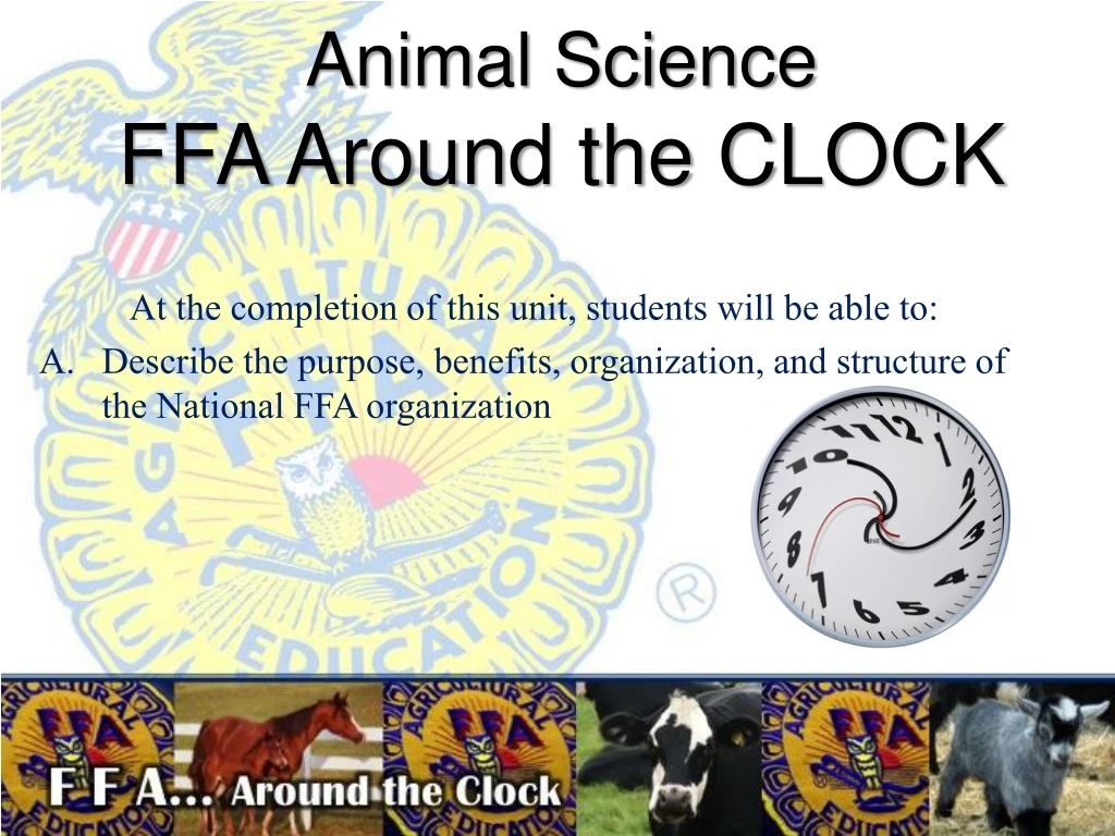 animal science ffa around the clock