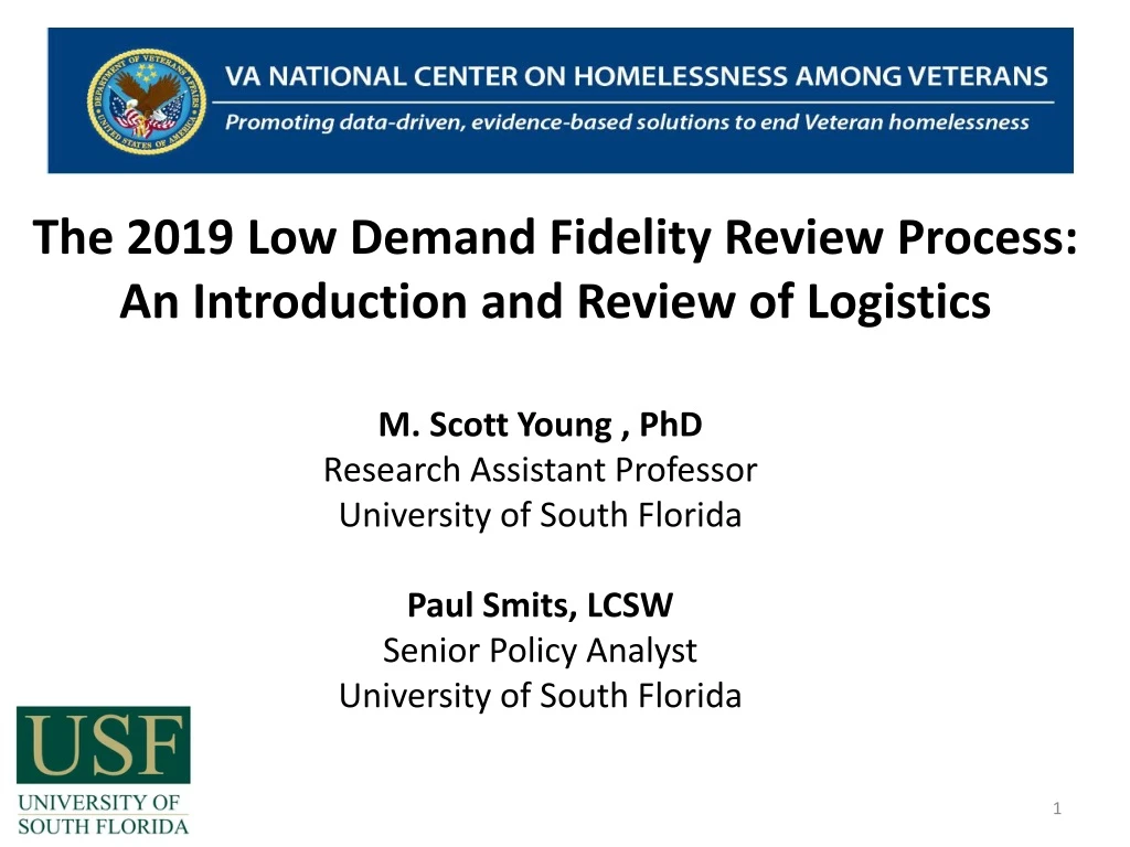the 2019 low demand fidelity review process