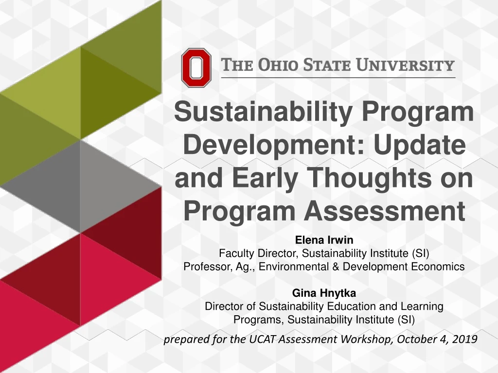 sustainability program development update and early thoughts on program assessment