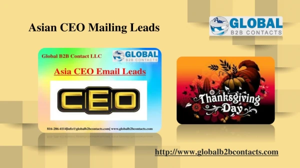 Asian CEO Mailing Leads