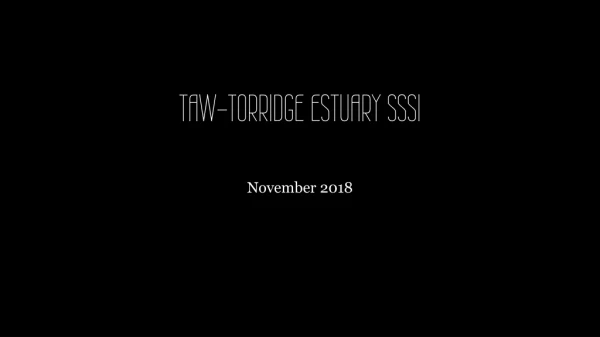TAW-TORRIDGE ESTUARY SSSI