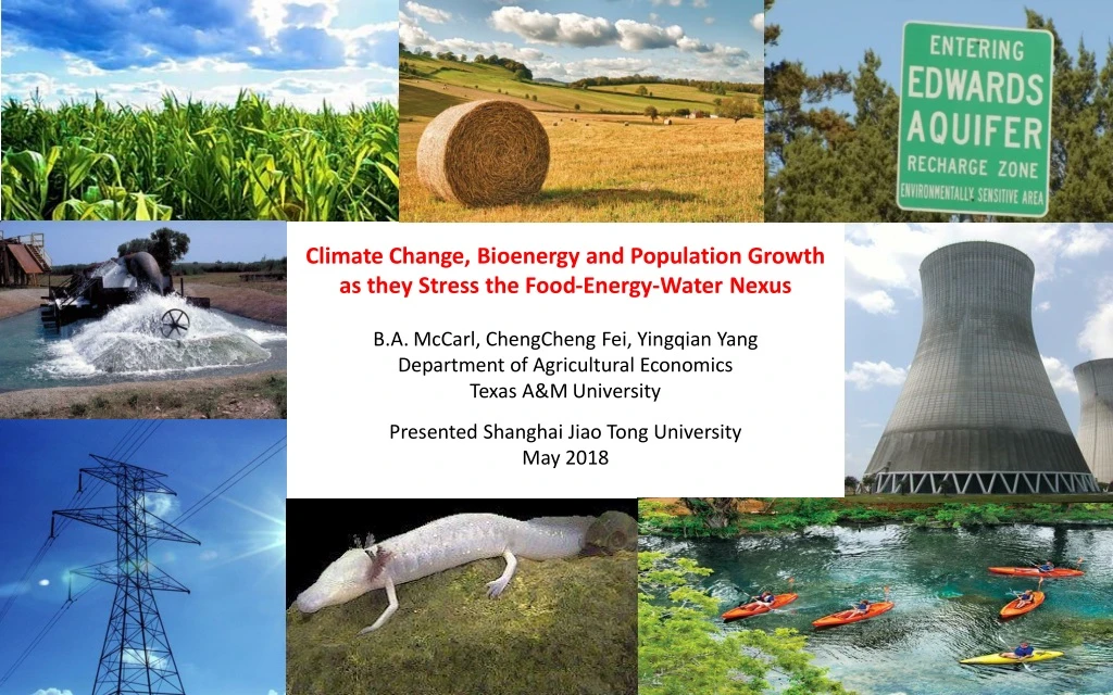 climate change bioenergy and population growth