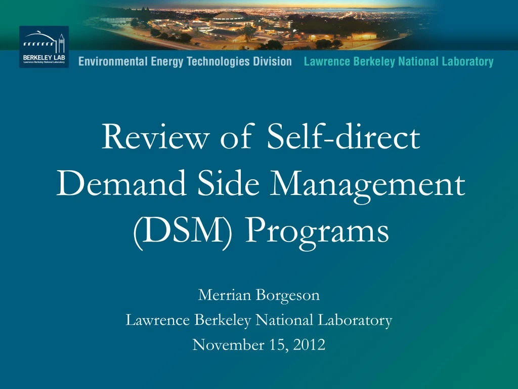 review of self direct demand side management dsm programs