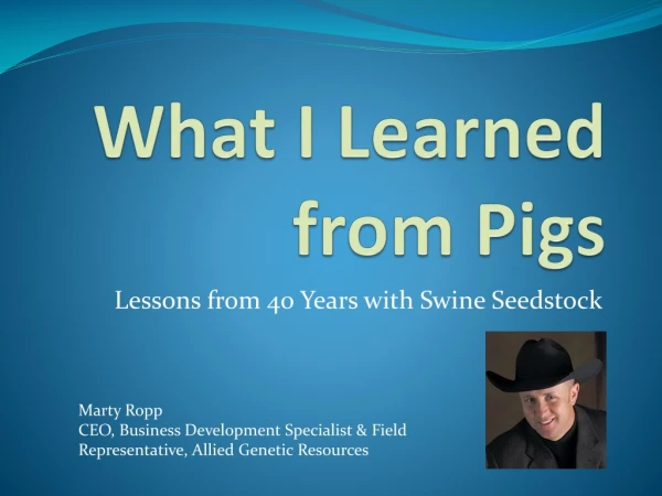 What I Learned from Pigs