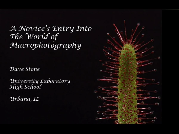 A Novice’s Entry Into The World of Macrophotography Dave Stone University Laboratory