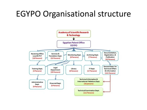 EGYPO Organisational structure