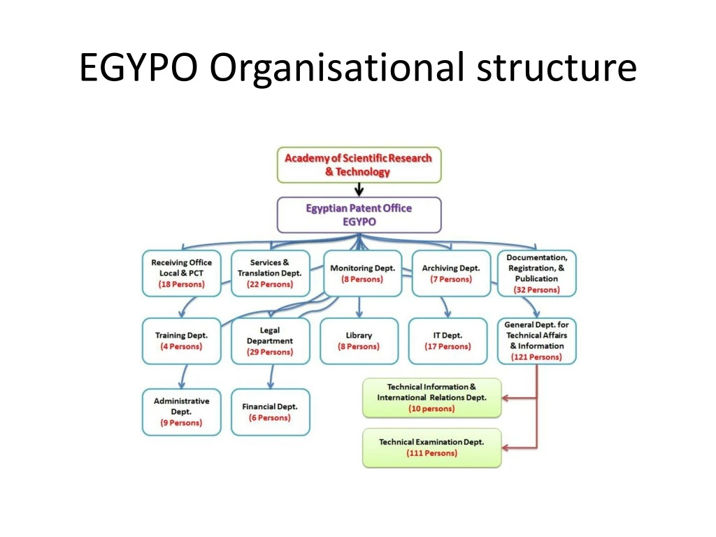 egypo organisational structure