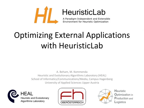 Optimizing External Applications with HeuristicLab