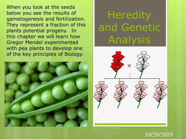 Heredity and Genetic Analysis