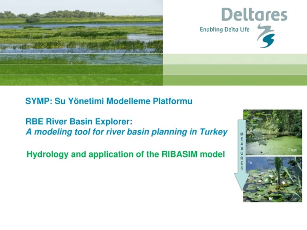 Hydrology and application of the RIBASIM model
