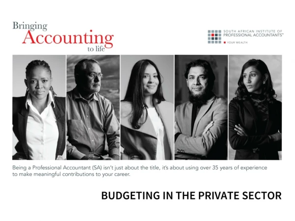 BUDGETING IN THE PRIVATE SECTOR
