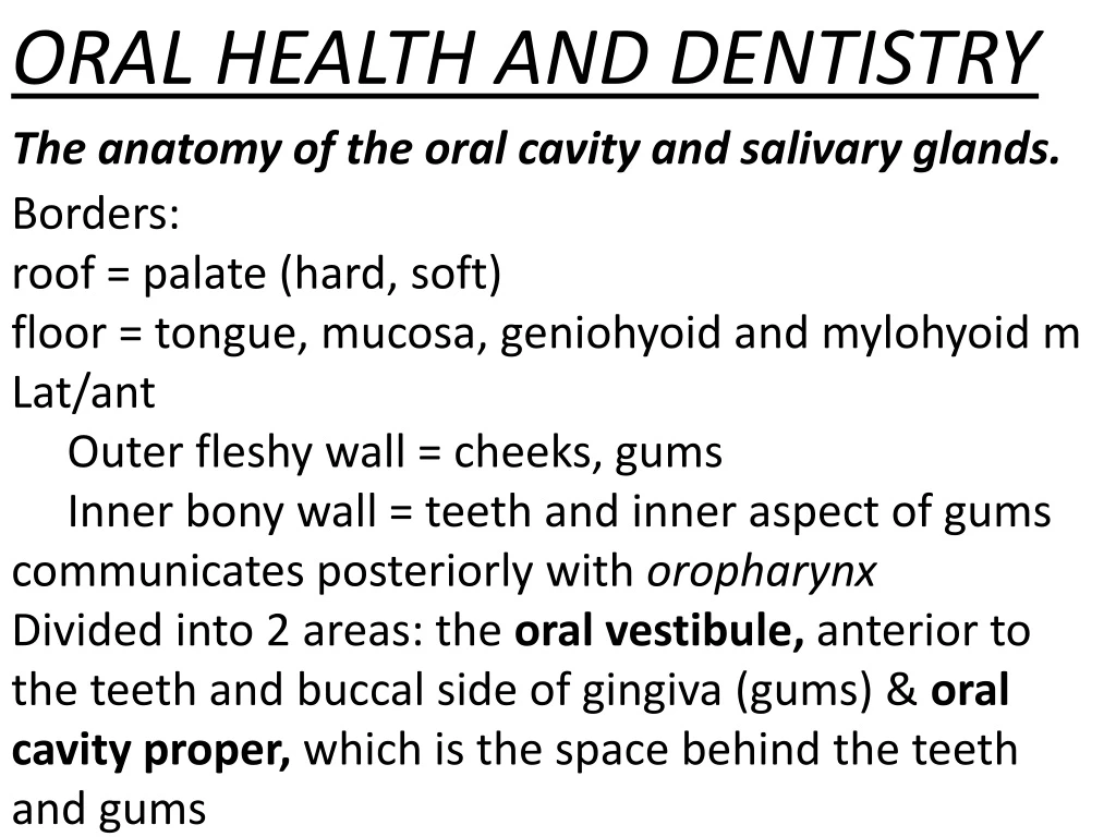 oral health and dentistry