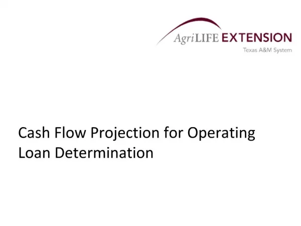 Cash Flow Projection for Operating Loan Determination