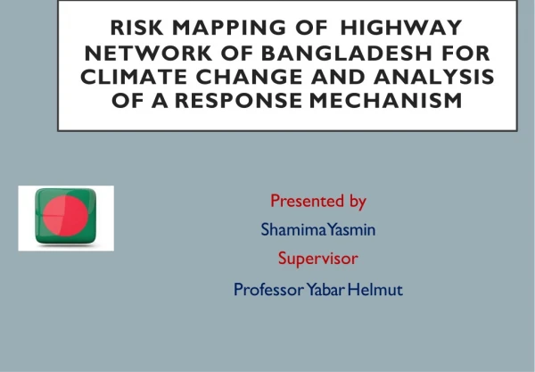 RISK MAPPING OF HIGHWAY