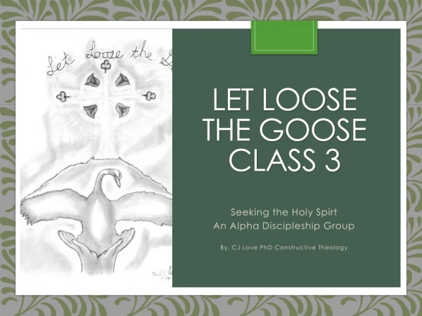 Let loose the goose Class 3