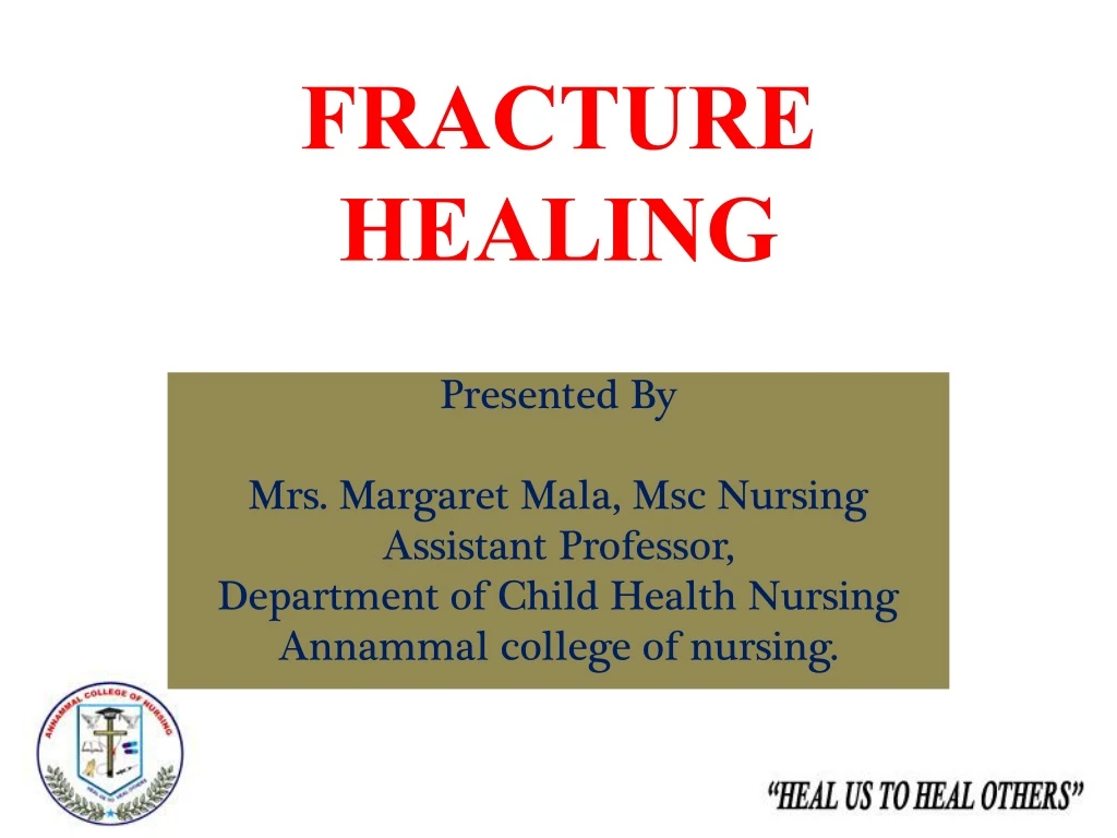 fracture healing