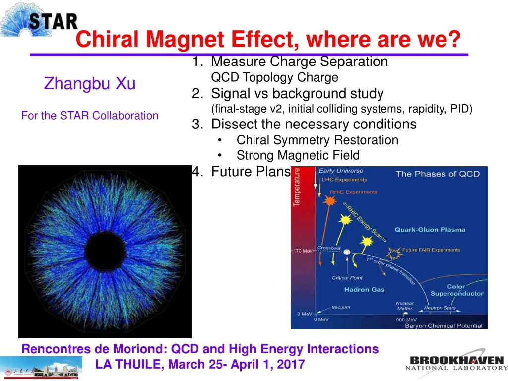 chiral magnet effect where are we