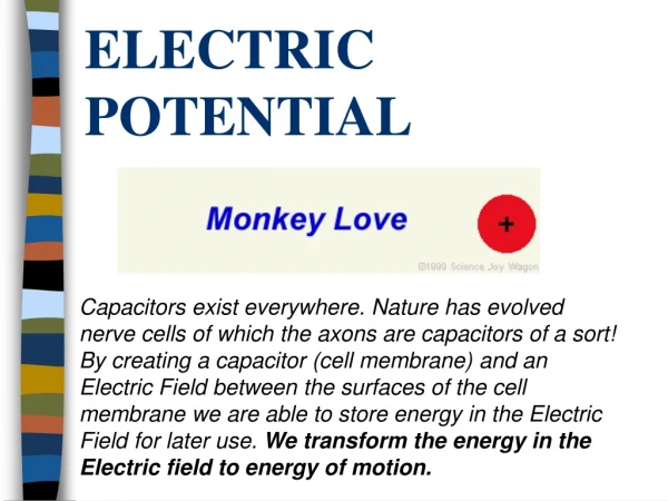 Electric Potential