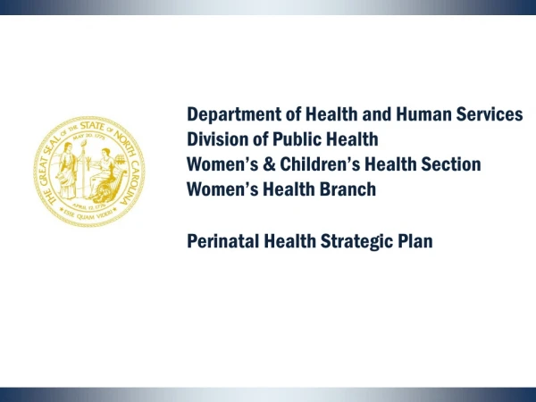 Perinatal Health Strategic Plan