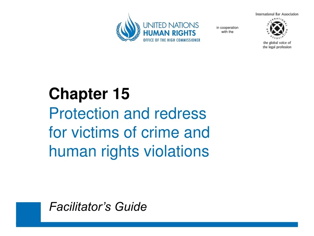 chapter 15 protection and redress for victims of crime and human rights violations