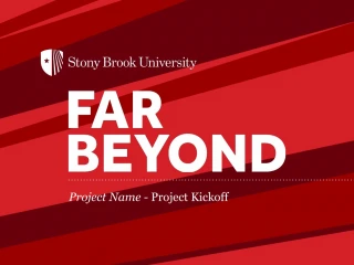 Stony Brook University CRM System Implementation Project - slide 1