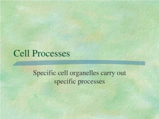 Cell Processes - slide 1
