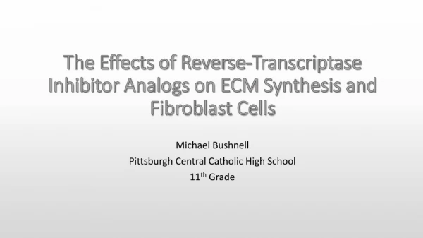 The Effects of Reverse-Transcriptase Inhibitor Analogs on ECM Synthesis and Fibroblast Cells