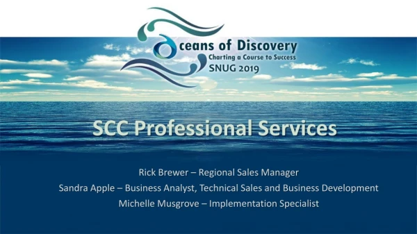 SCC Professional Services