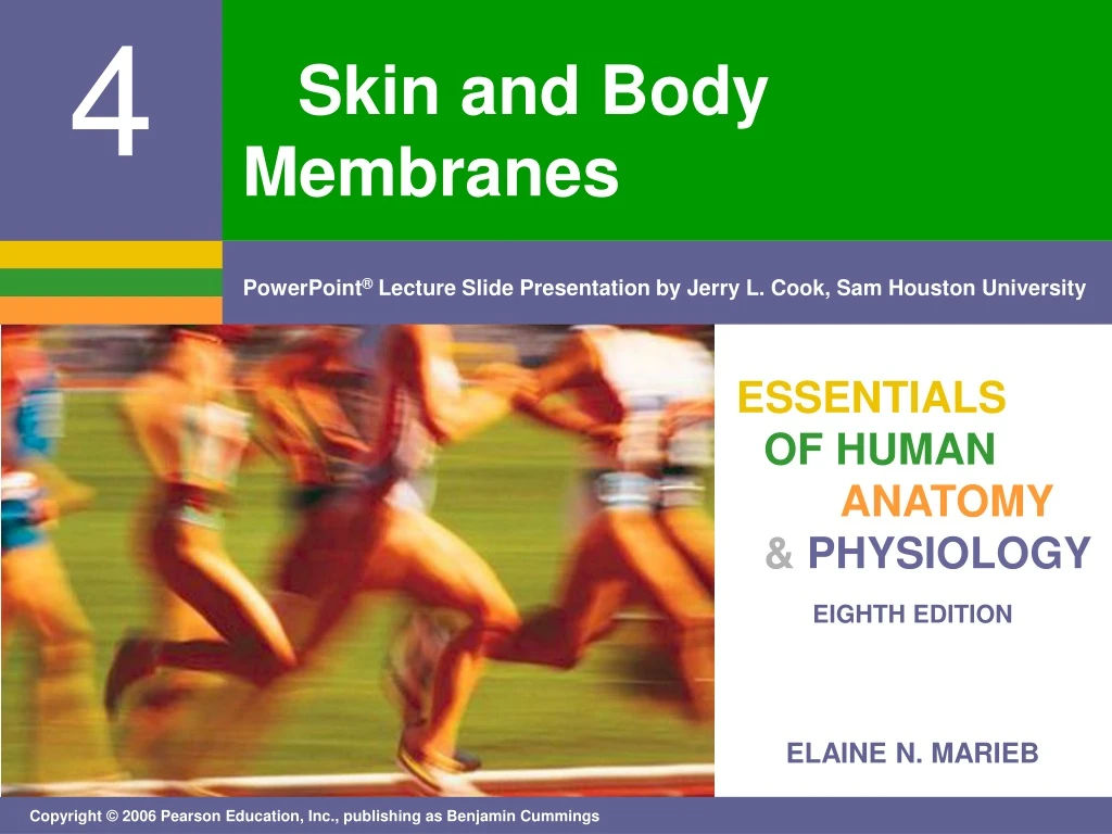 skin and body membranes