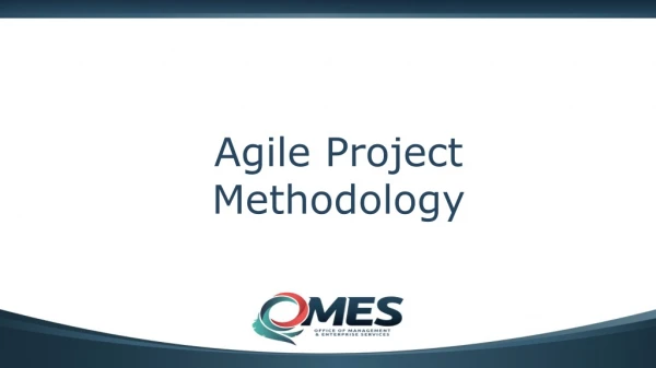 Agile Project Methodology