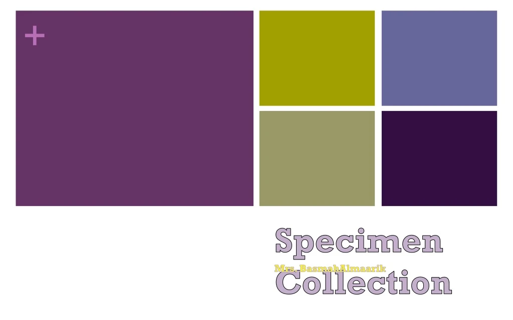 specimen collection