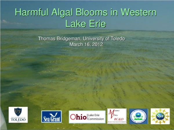 Harmful Algal Blooms in Western Lake Erie