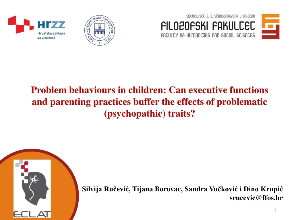 problem behaviours in children can executive